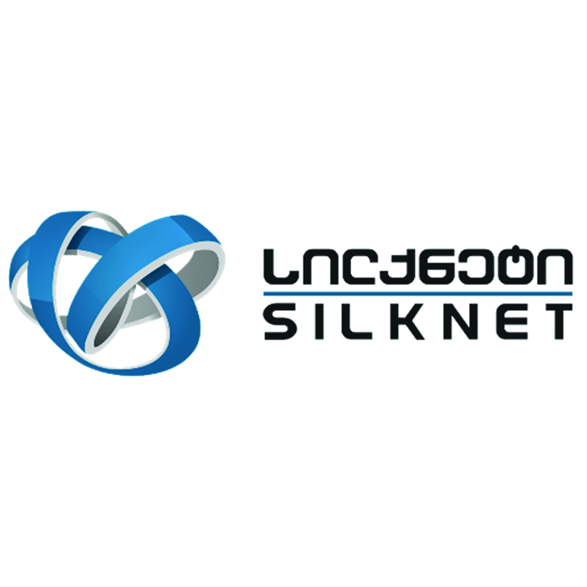 Silknet Logo